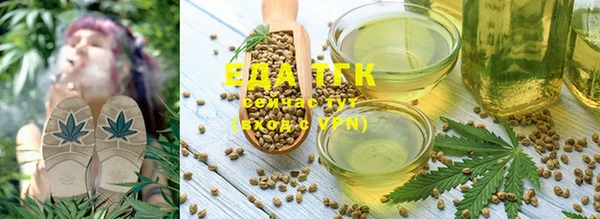 индика Балабаново