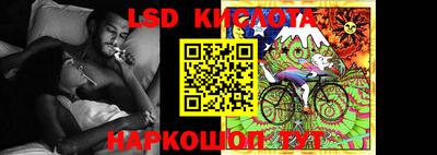 крисы Аргун