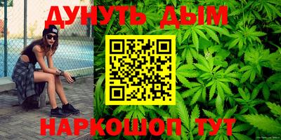 крисы Аргун
